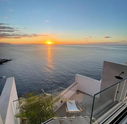 Toucan's Nest: Landing In Paradise