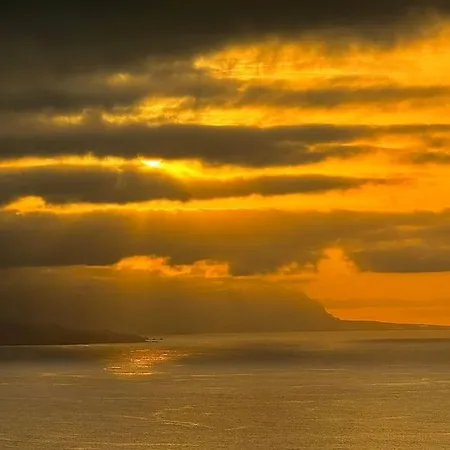Toucan's Nest: Landing In Paradise Lägenhet La Matanza De Acentejo