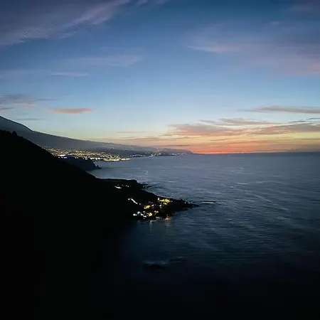 Toucan's Nest: Landing In Paradise