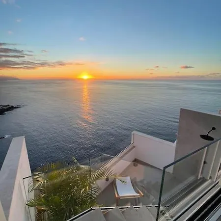 Toucan's Nest: Landing In Paradise