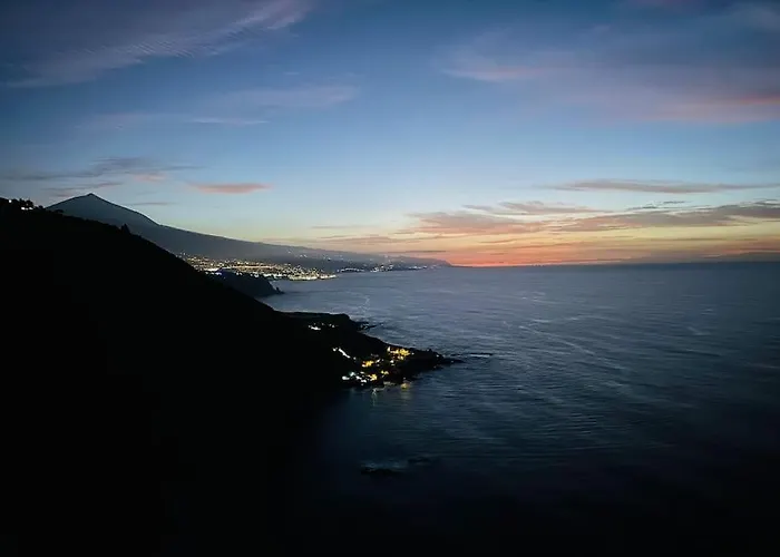 Toucan's Nest: Landing In Paradise