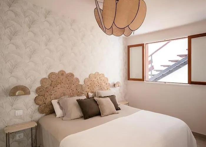 Toucan's Nest: Landing In Paradise Apartment La Matanza De Acentejo