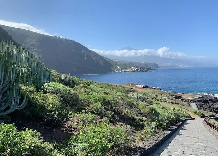 Toucan's Nest: Landing In Paradise