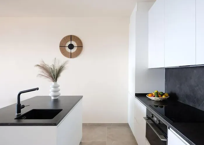 Toucan's Nest: Landing In Paradise